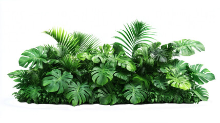 Lush greenery featuring various tropical plant isolated on transparent or white background.
