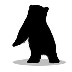 Bear silhouette, Double Bear set box icon, Bear illustration, silhouette, set icon, silhouette, Bear icon