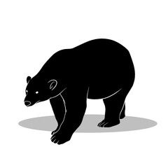 Bear silhouette, Double Bear set box icon, Bear illustration, silhouette, set icon, silhouette, Bear icon