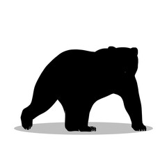Bear silhouette, Double Bear set box icon, Bear illustration, silhouette, set icon, silhouette, Bear icon