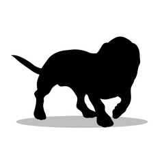 Basset Hound silhouette, Double Basset Hound set box icon, Basset Hound illustration, silhouette, set icon, silhouette, Basset Hound icon