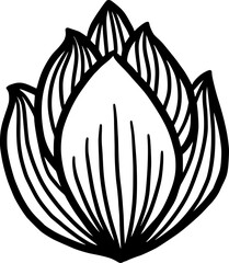 Hand Drawn Lotus Flower 