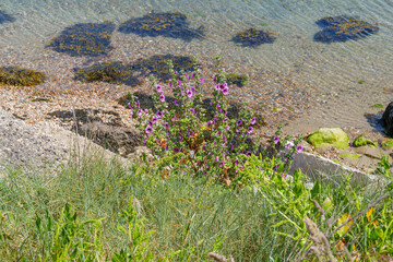 Die Isle of Portland am Ärmelkanal