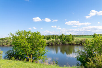 Fototapeta premium A serene landscape featuring a river, trees, and a clear sky