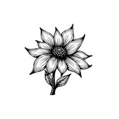 Elegant Floral Design: Black and White Sunflower Illustration for Creative Projects