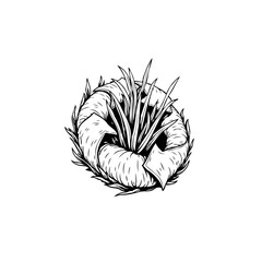 Obraz premium Artistic illustration of a coiled plant with sharp leaves, nature drawing