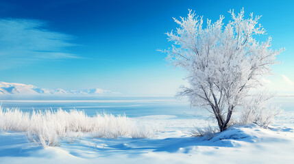 Winter Landscape of Baikal lake arctic with frozen water and tree with snowy and blue sky, Siberia, Russia.