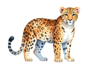 Cartoon watercolor leopard Illustration. Animal clipart illustration.