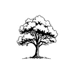 Fototapeta premium Elegant Single Tree Silhouette on White Background for Nature Designs Projects