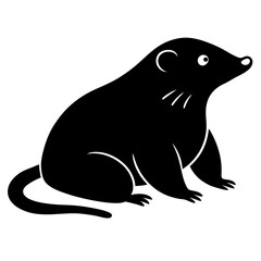 illustration of a seal