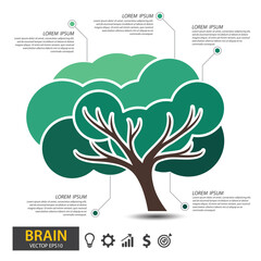 Brain tree design. infographic template for presentation. vector illustration.