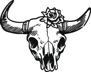 Obraz premium skull vector illustration