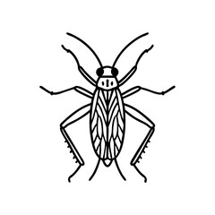 Tree Cricket Doodle - Order Orthoptera