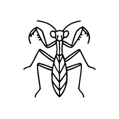 Praying Mantis Line Art - Order Orthoptera