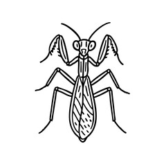 Praying Mantis Line Art - Order Orthoptera