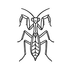Praying Mantis Line Art - Order Orthoptera