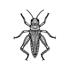 Giant Grasshopper Doodle - Order Orthoptera