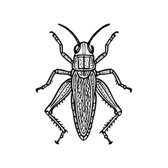 Giant Grasshopper Doodle - Order Orthoptera