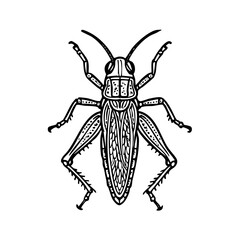 Giant Grasshopper Doodle - Order Orthoptera