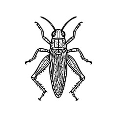 Giant Grasshopper Doodle - Order Orthoptera