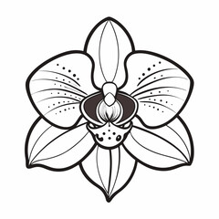 Orchid Bloom Flower Botanical Drawing Line Art Vector Illustration