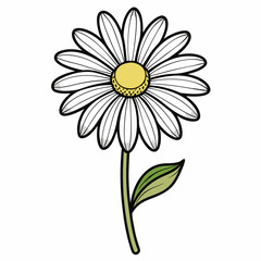 Daisy Bloom Flower Botanical Drawing Line Art Vector Illustration