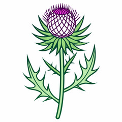 Thistle Bloom Flower Botanical Drawing Line Art Vector Illustration