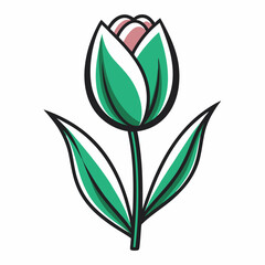 Tulip Bloom Flower Botanical Drawing Line Art Vector Illustration