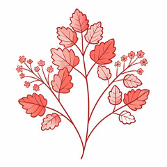 Coral Bells Bloom Flower Botanical Drawing Line Art Vector Illustration