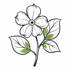 Dogwood Bloom Flower Botanical Drawing Line Art Vector Illustration