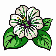 Mallow Bloom Flower Botanical Drawing Line Art Vector Illustration