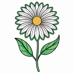 Swan River Daisy Bloom Flower Botanical Drawing Line Art Vector Illustration