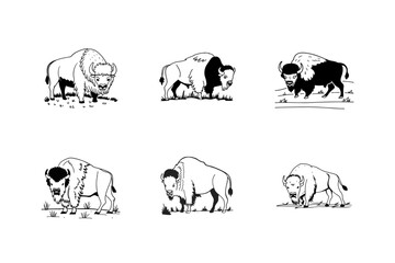 defensive muscle bison with facing front vector line art
