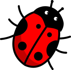 ladybird vector illustration