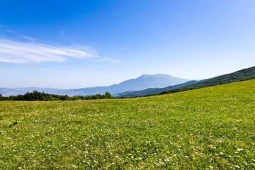 Vast sunlit green mountain meadow filled with wildflowers, offering panoramic views of distant peaks under a clear blue sky. Perfect for nature and landscape themes.