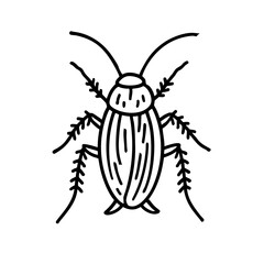 house Cockroaches - Order Blattodea