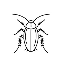 house Cockroaches - Order Blattodea