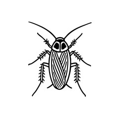 German Cockroaches - Order Blattodea