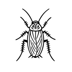 German Cockroaches - Order Blattodea