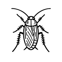 German Cockroaches - Order Blattodea
