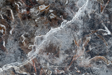 Macro top-down view of thin ice with seaweed beneath and diagonal crack on Norwegian coast
