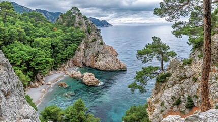 Stunning Coastal Cove Turquoise Water Secluded Beach Rocky Cliffs Green Pines