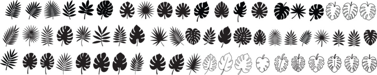 A collection of ropical leaves, palm leaves silhouettes, diverse collection, black shapes, design elements, artistic embellishments, leaf vector