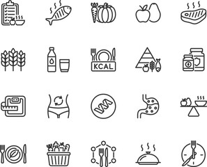 Vector set of nutrition line icons. Contains icons meal plan, food basket, vegetables, fruits, vitamins, protein, food pyramid, metabolism and more. Pixel perfect.