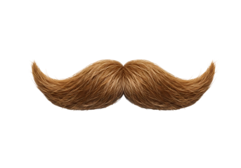 Glittery Brown Mustache Image  Free Download isolated on transparent background