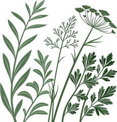 Seamless Herb Plant Design Clipart