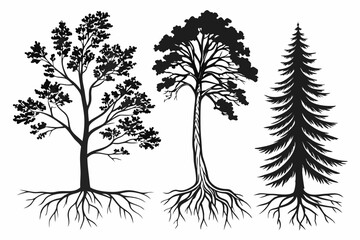 black and white  trees vector illustration of a tree isolated on white background.