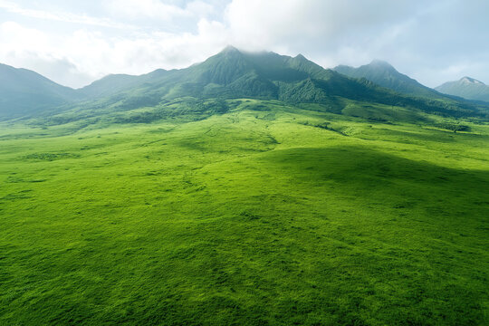 landscape of large grassland with green mountains, lush and dense, expansive view, misty mountains, photorealistic