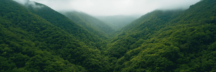 landscape panorama of dense forest on the mountainside, aerial view, foggy weather, lush green vegetation, photorealistic