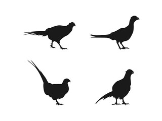 Fototapeta premium Game bird silhouette icon. vector flat illustration design. Silhouettes of pheasants in various poses.